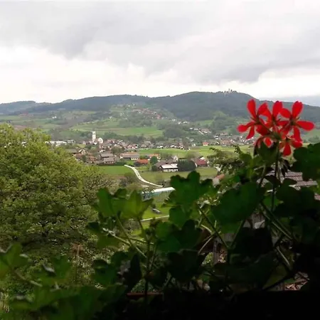 And In Kranjska Krain 26042 アパート シュマリェシュケ・トプリツェ