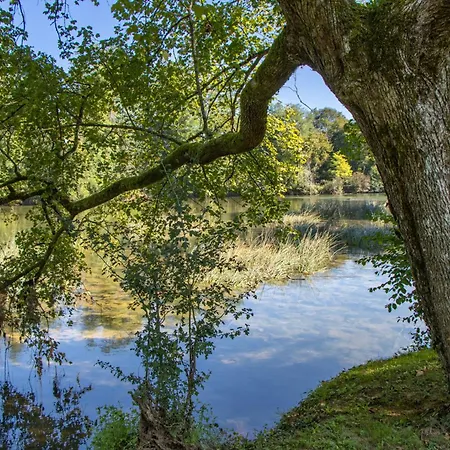 And In Kranjska Krain 26042 *