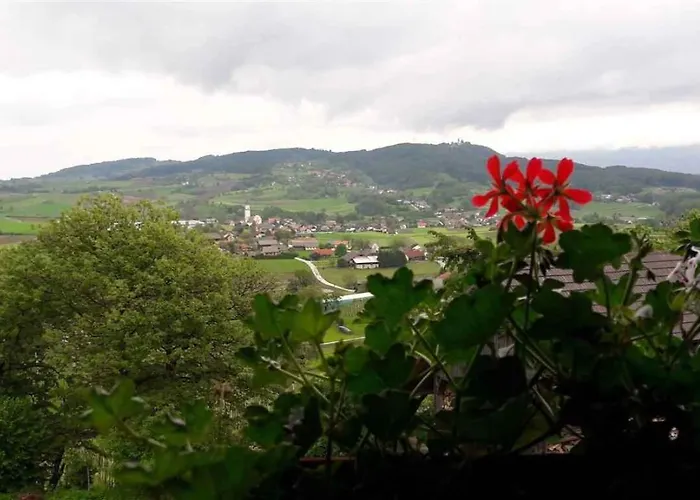 And In Kranjska Krain 26042 Apartman Smarjeske Toplice